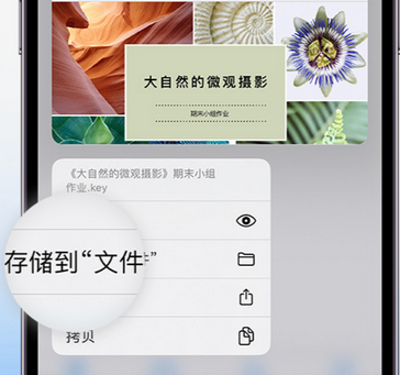 兴海apple维修中心分享iPhone文件应用中存储和找到下载文件