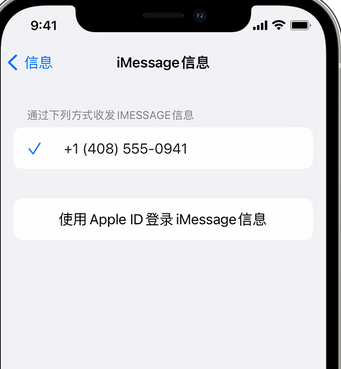 兴海apple维修iPhone上无法正常发送iMessage信息 