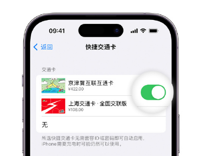 兴海apple维修点分享iPhone上更换Apple Pay快捷交通卡手绘卡面 