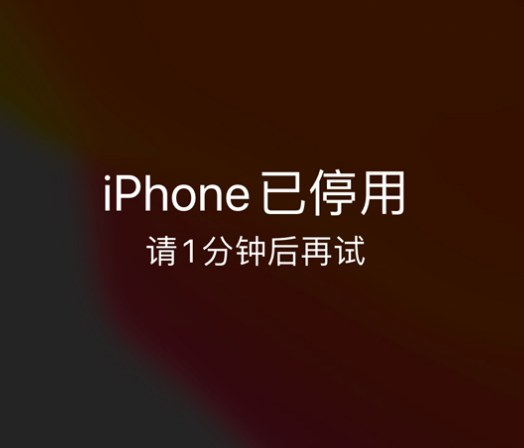 兴海苹果手机维修分享:iPhone 显示“不可用”或“已停用”怎么办？还能保留数据吗？ 