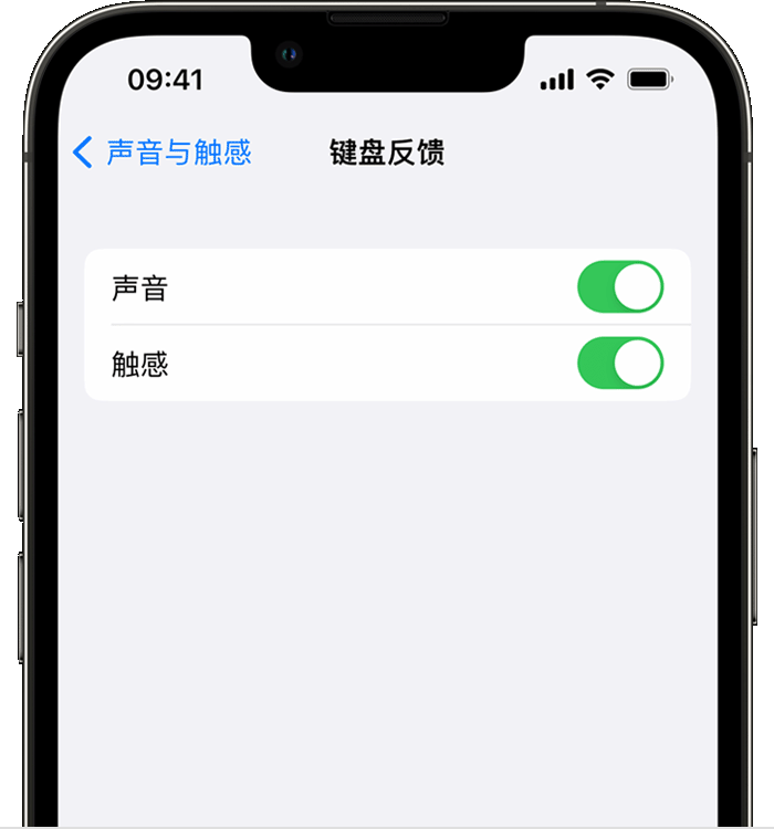 兴海苹果14维修店分享如何在 iPhone 14 机型中使用触感键盘 