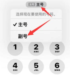 兴海苹果14维修店分享iPhone 14 Pro Max使用副卡打电话的方法 