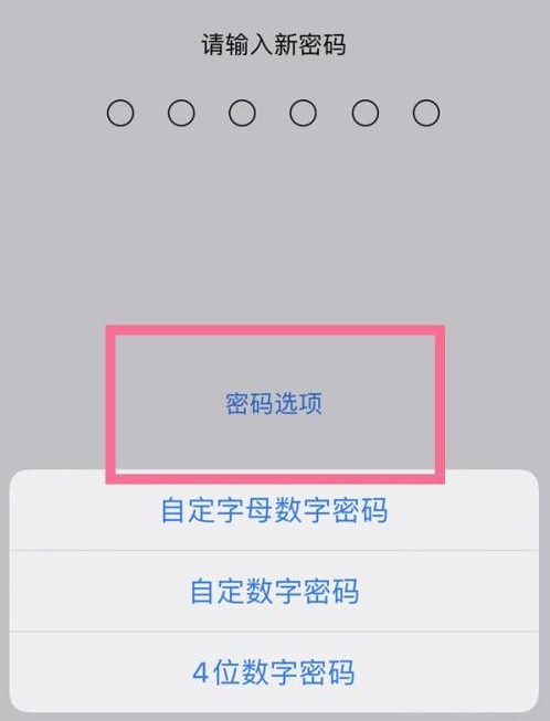 兴海苹果14维修分享iPhone 14plus设置密码的方法 