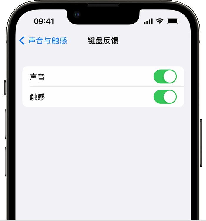 兴海苹果14维修分享iPhone 14 系列机型如何开启键盘声音或触感反馈 