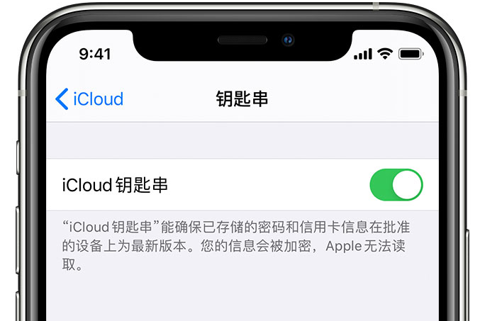 兴海苹果手机维修分享在 iPhone 上开启 iCloud 钥匙串之后会储存哪些信息 