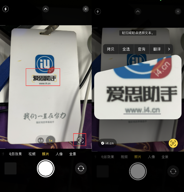 兴海苹果手机维修分享升级iOS 16后如何通过相机翻译文本 