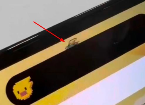 兴海苹果14维修分享iPhone 14 Pro Max灵动岛怎么养宠物 