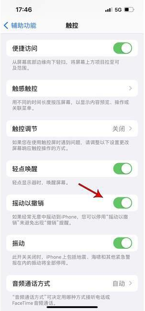 兴海苹果手机维修分享iPhone手机如何设置摇一摇删除文字 