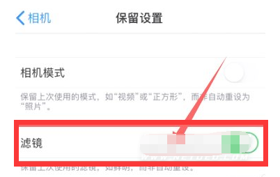兴海苹果13维修分享iPhone13拍照有绿点是怎么回事 