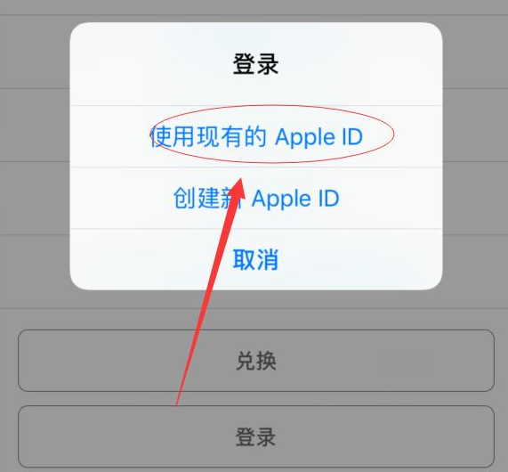兴海苹果手机维修分享两台iPhone设备可以同时登录一个Apple ID吗 