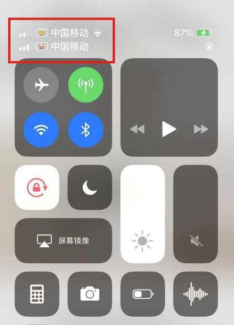 兴海苹果手机维修分享为 iPhone 12 双卡设置标签 